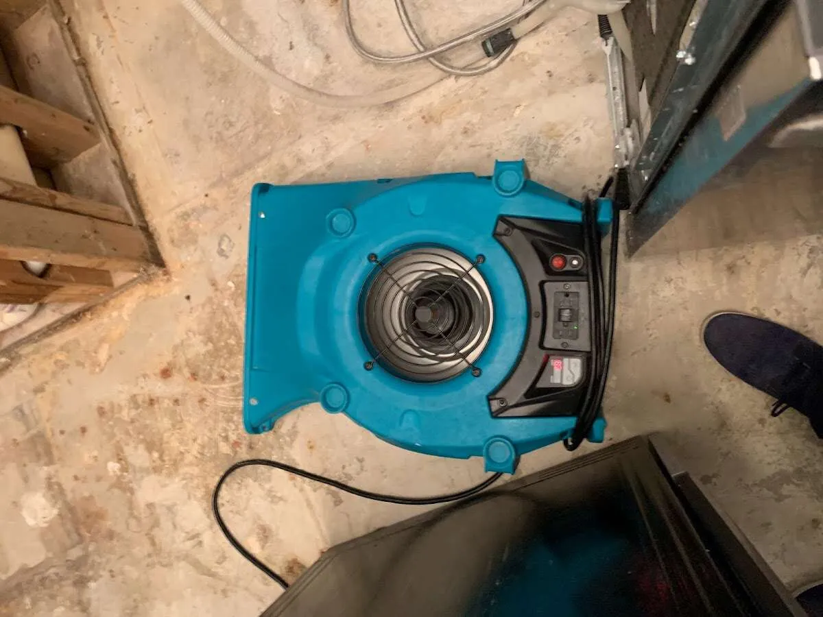 Air mover drying equipment for Mold Remediation & Removal in Cumming